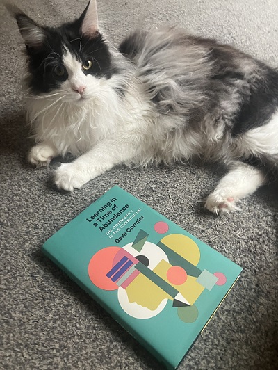 Flashback and disconnects